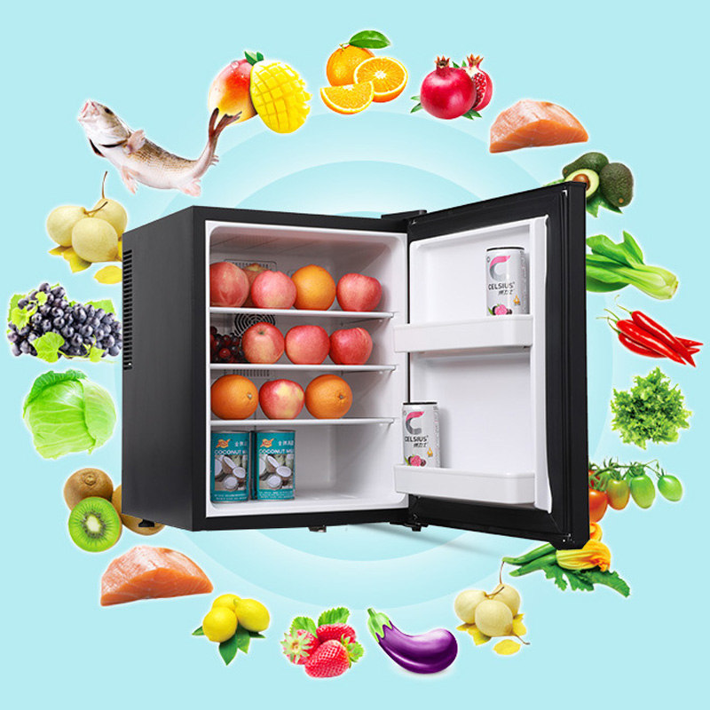 Mini Fridge Cooler 40L Refrige - đánh giá và giá Wine Beer Mini Fridge
