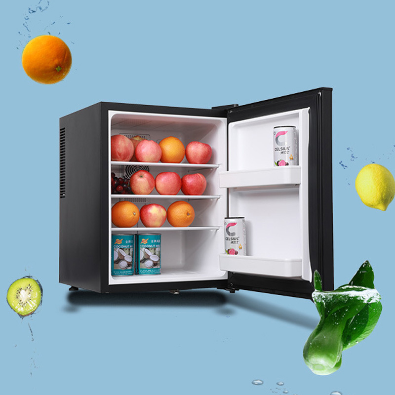 Mini Fridge Cooler 40L Refrige - đánh giá và giá Wine Beer Mini Fridge