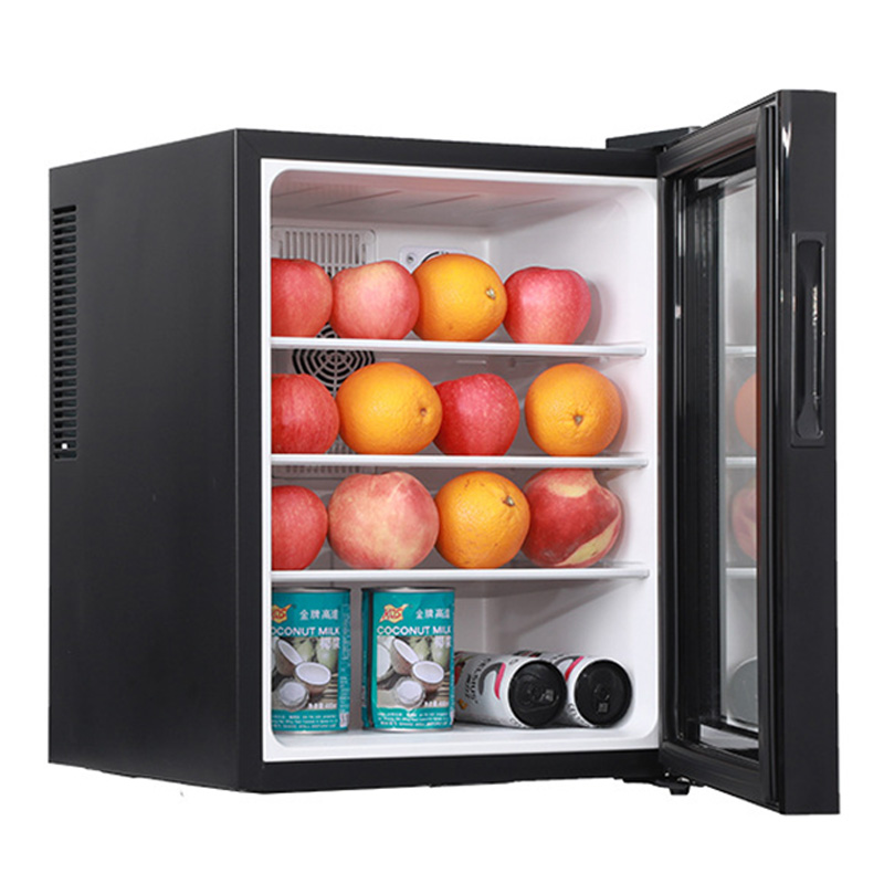 Mini Fridge Cooler 40L Refrige - đánh giá và giá Wine Beer Mini Fridge